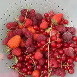 Le Manoir Des Rochers *
