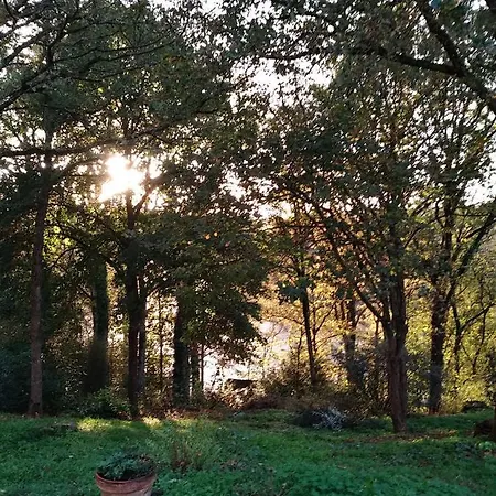 Privat bolig Le Manoir Des Rochers