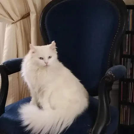 홈스테이 Le Manoir Des Rochers