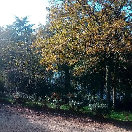 Homestay Le Manoir Des Rochers *