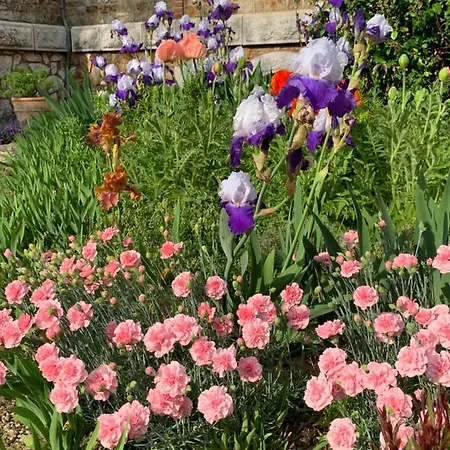Le Manoir Des Rochers Homestay *