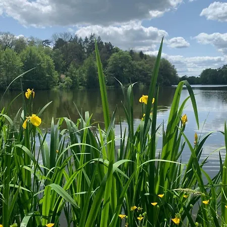 Le Manoir Des Rochers Bouere