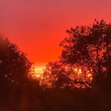 Homestay Le Manoir Des Rochers Bouere