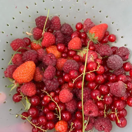 Le Manoir Des Rochers *