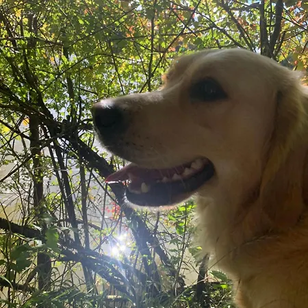 Le Manoir Des Rochers Kwatera prywatna