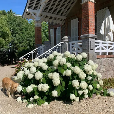 Le Manoir Des Rochers Privat bolig Bouere
