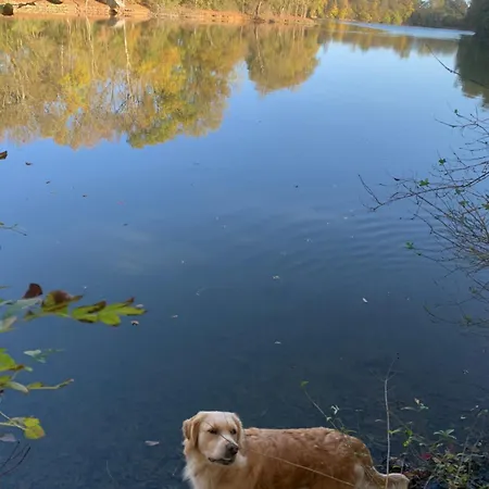Le Manoir Des Rochers 홈스테이 *