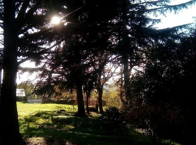 Le Manoir Des Rochers Bouere