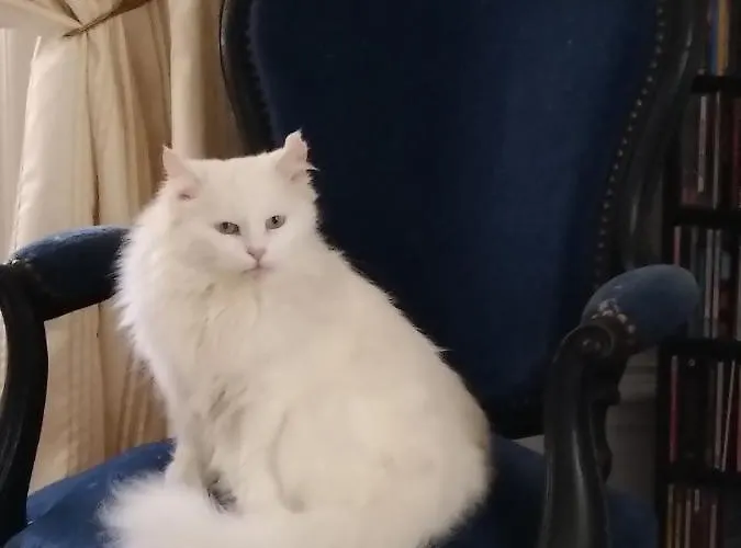 Rum i privatbostad Le Manoir Des Rochers