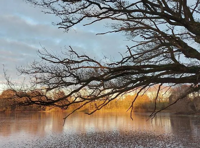 Le Manoir Des Rochers * Bouere