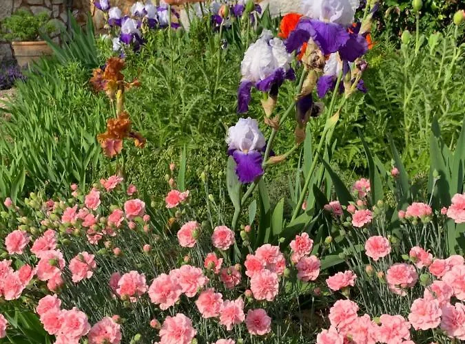 Le Manoir Des Rochers Rum i privatbostad *