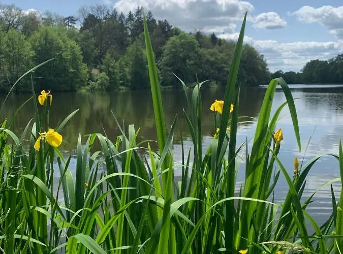 Le Manoir Des Rochers Bouere