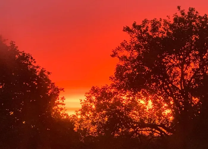 Rum i privatbostad Le Manoir Des Rochers Bouere