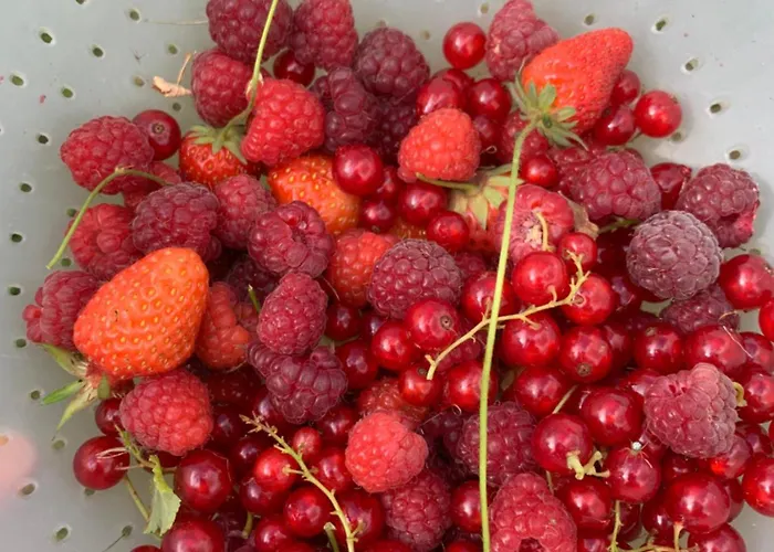 Le Manoir Des Rochers *