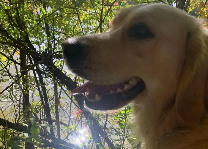 Le Manoir Des Rochers Rum i privatbostad