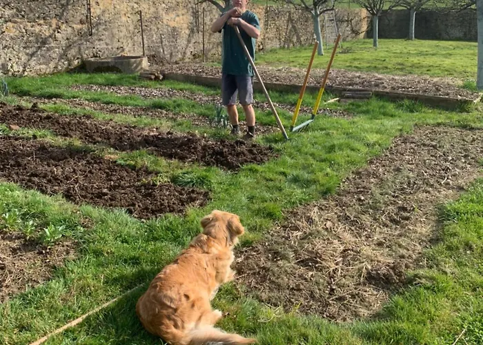 Le Manoir Des Rochers