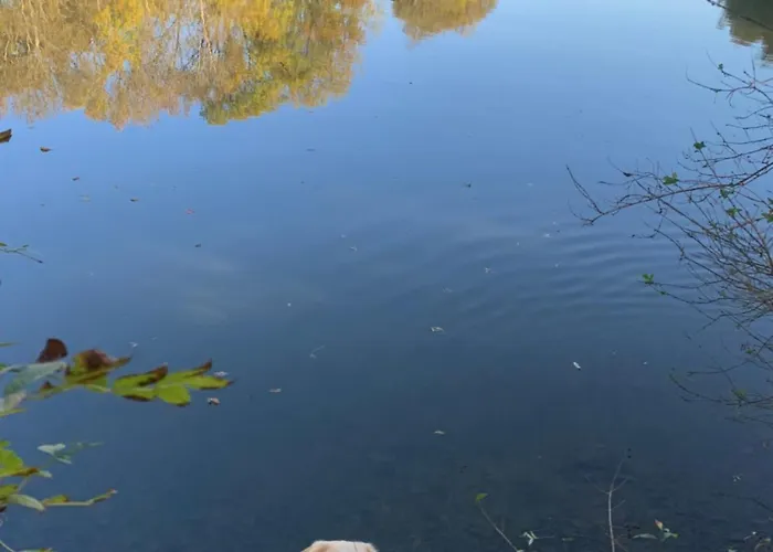 Le Manoir Des Rochers Rum i privatbostad *